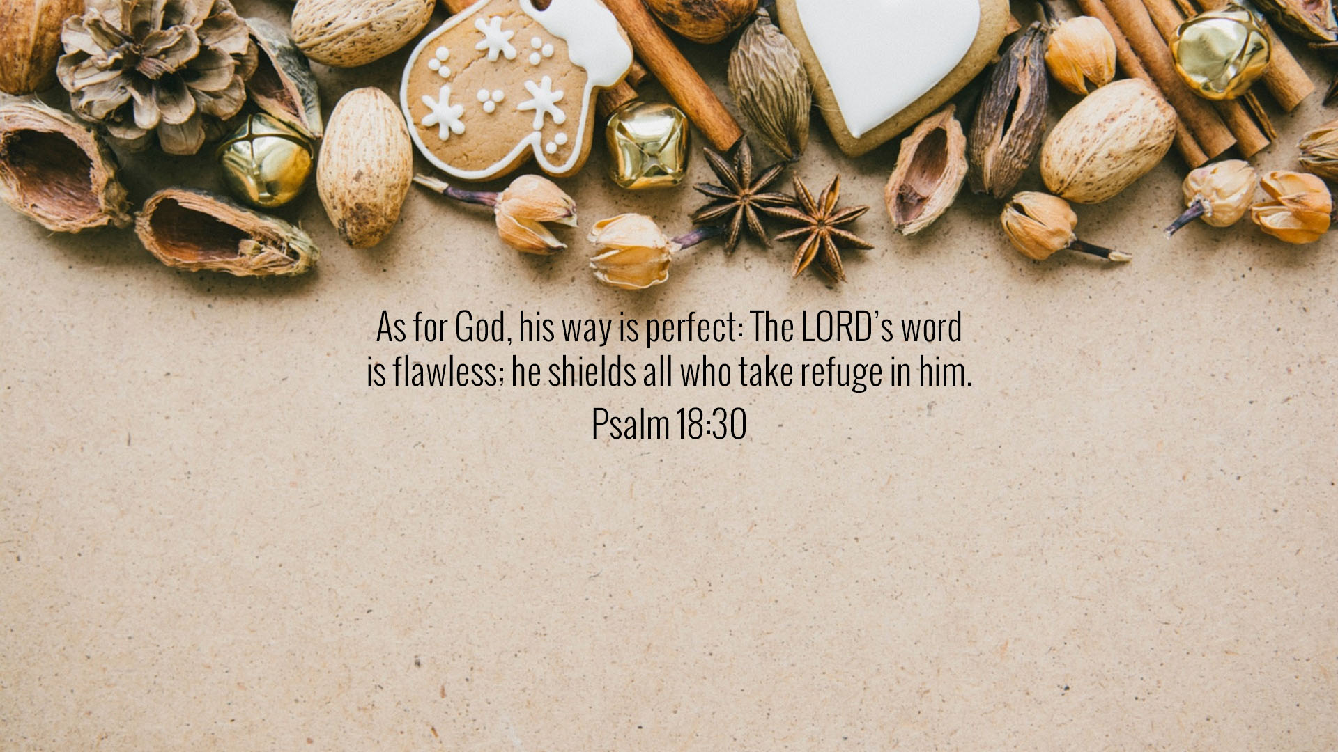 As for God, his way is perfect; the word of the Lord is flawless. He is a  shield for all who take refuge in him. ~Psalms 18:30…